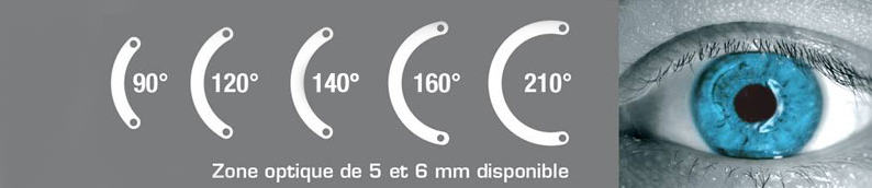 Anneaux_intra_ferrara